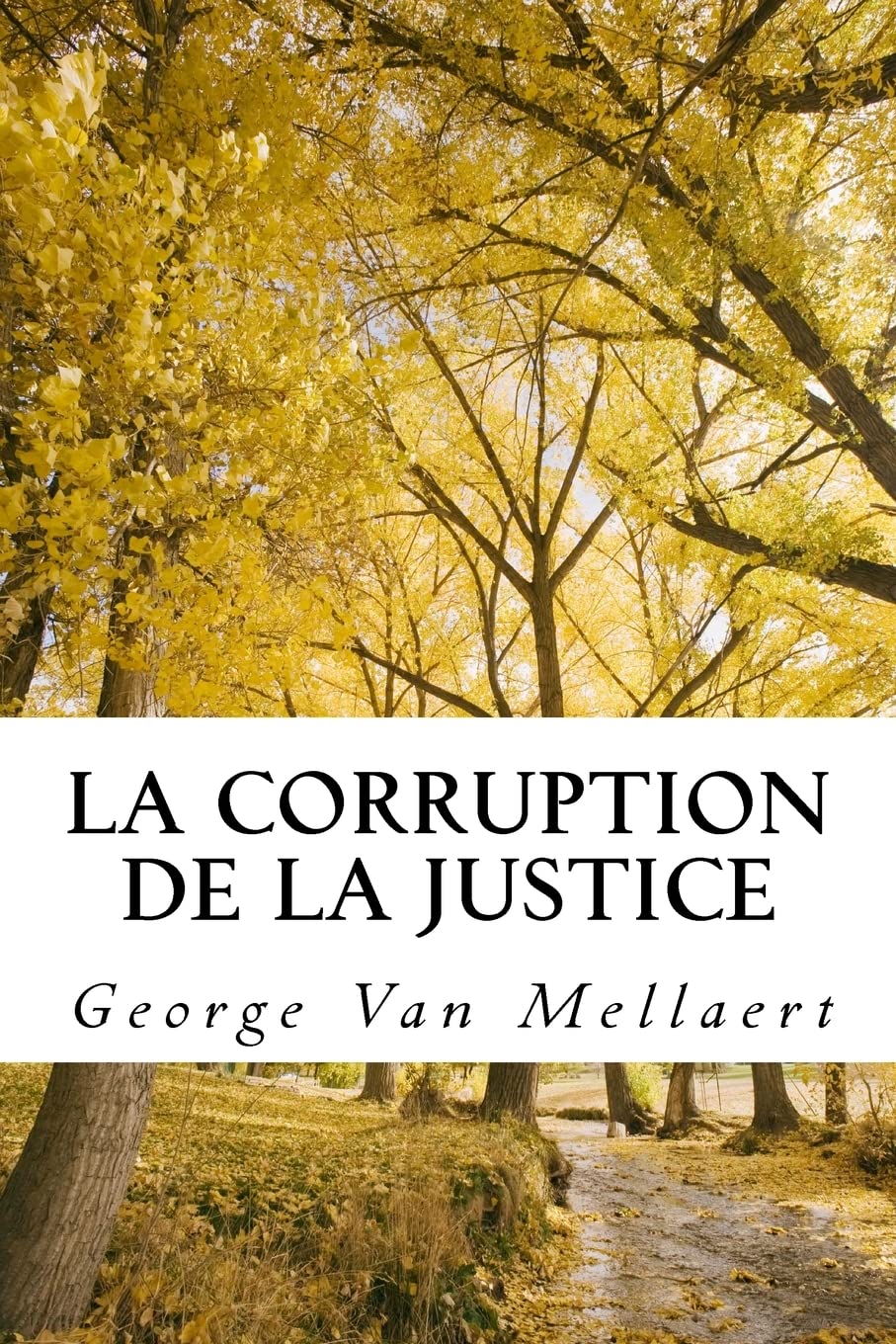 La Corruption de la Justice: Un avocat face au système. Mon histoire vraie. Comment ils ont détruit ma vie. Témoignage choc. Les dérives de la ... une décennie d'abus judiciaires racontés. book