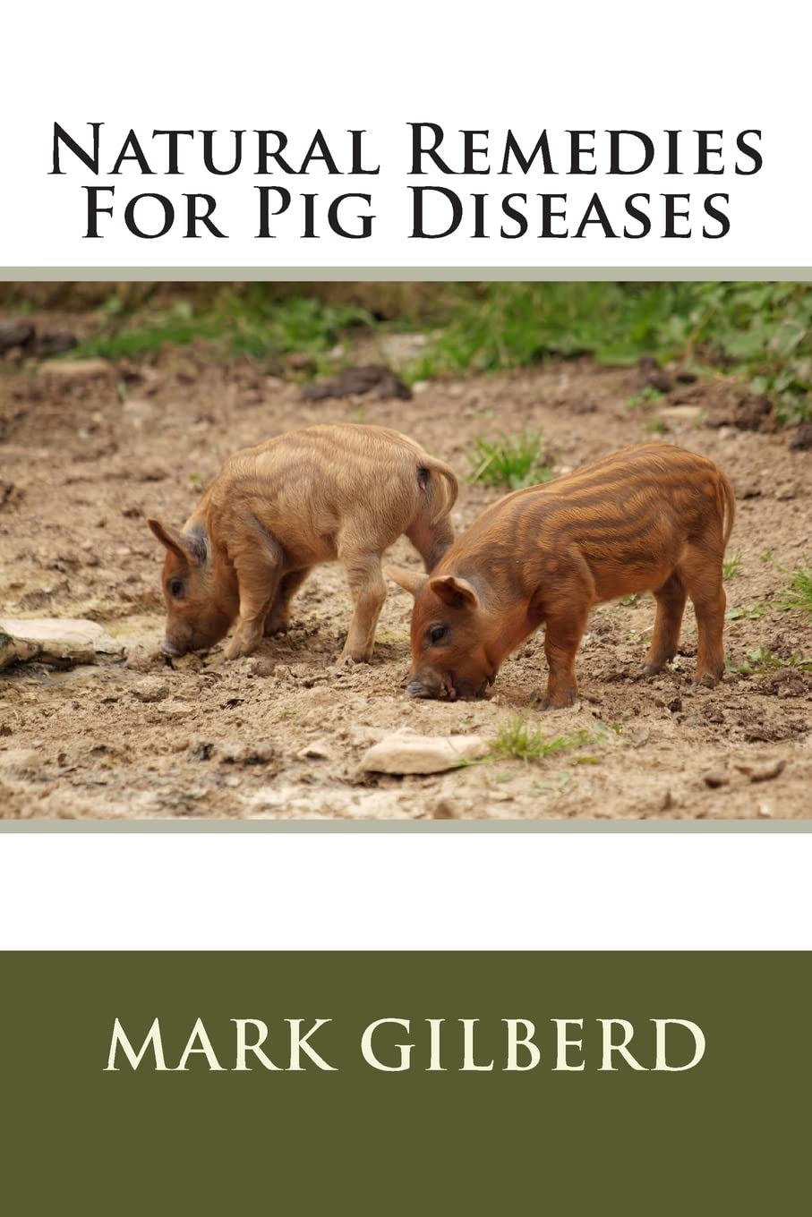 Natural Remedies For Pig Diseases (Natural Remedies For Animals Series) Medicine