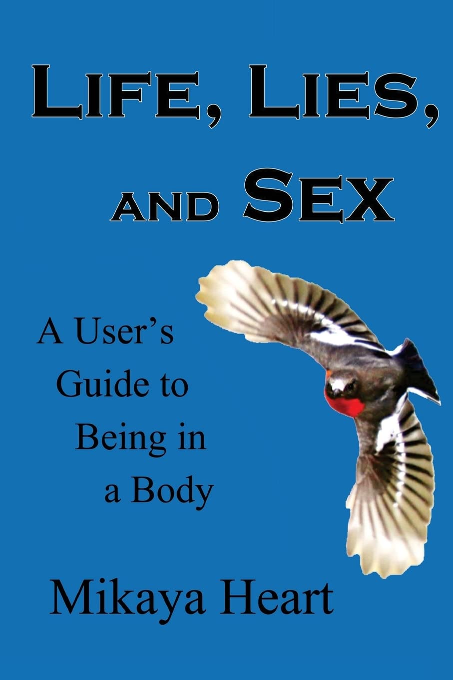 Life, Lies, and Sex: A User's Guide to Being in a Body Religion & Esotericism
