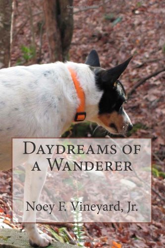 Daydreams of a Wanderer Mathematics