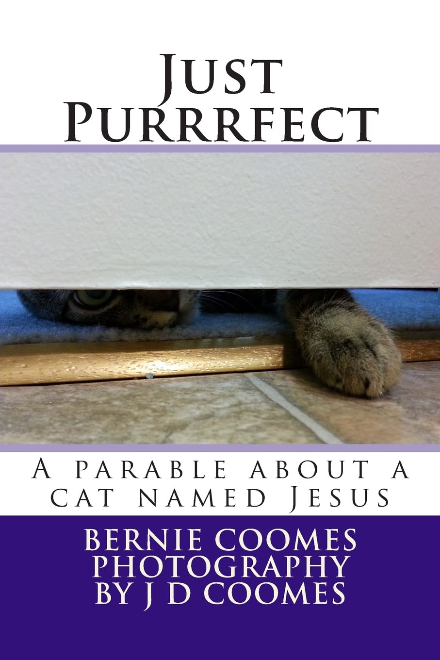 Just Purrrfect: A parable about a cat named Jesus Religion & Esotericism