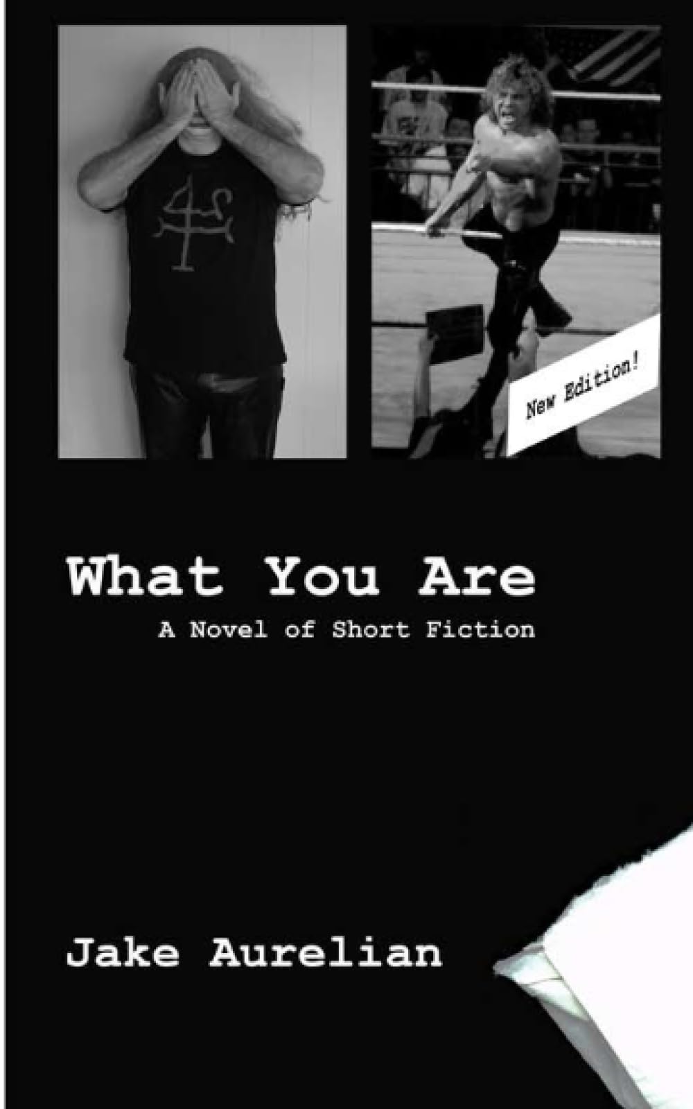What You Are: A Novel of Short Fiction book