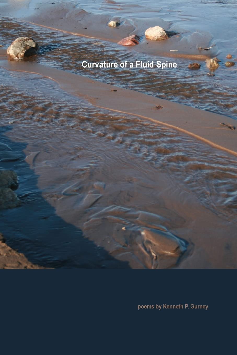 Curvature of a Fluid Spine Poetry