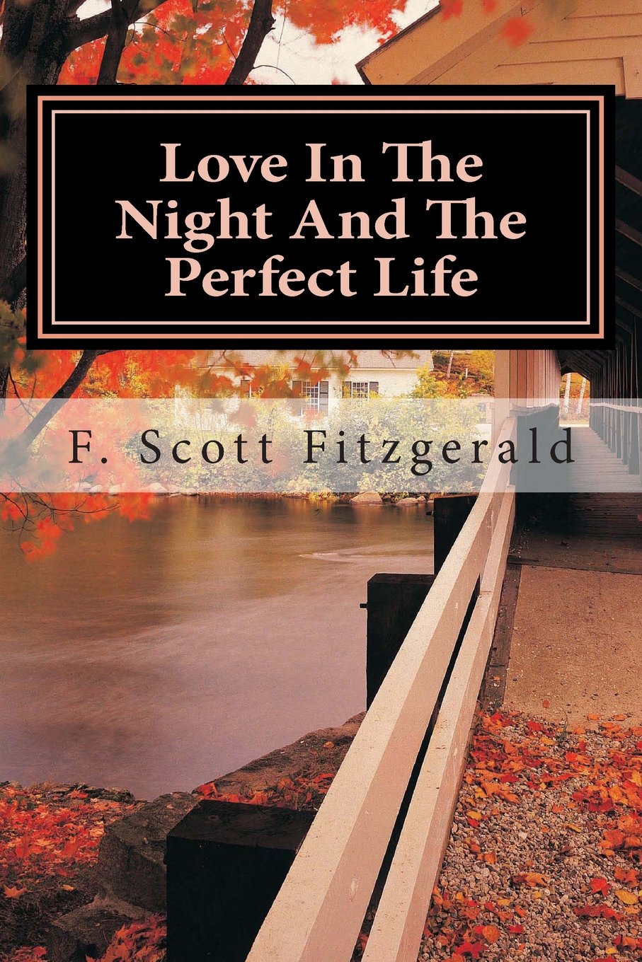 Love In The Night And The Perfect Life Contemporary Romance