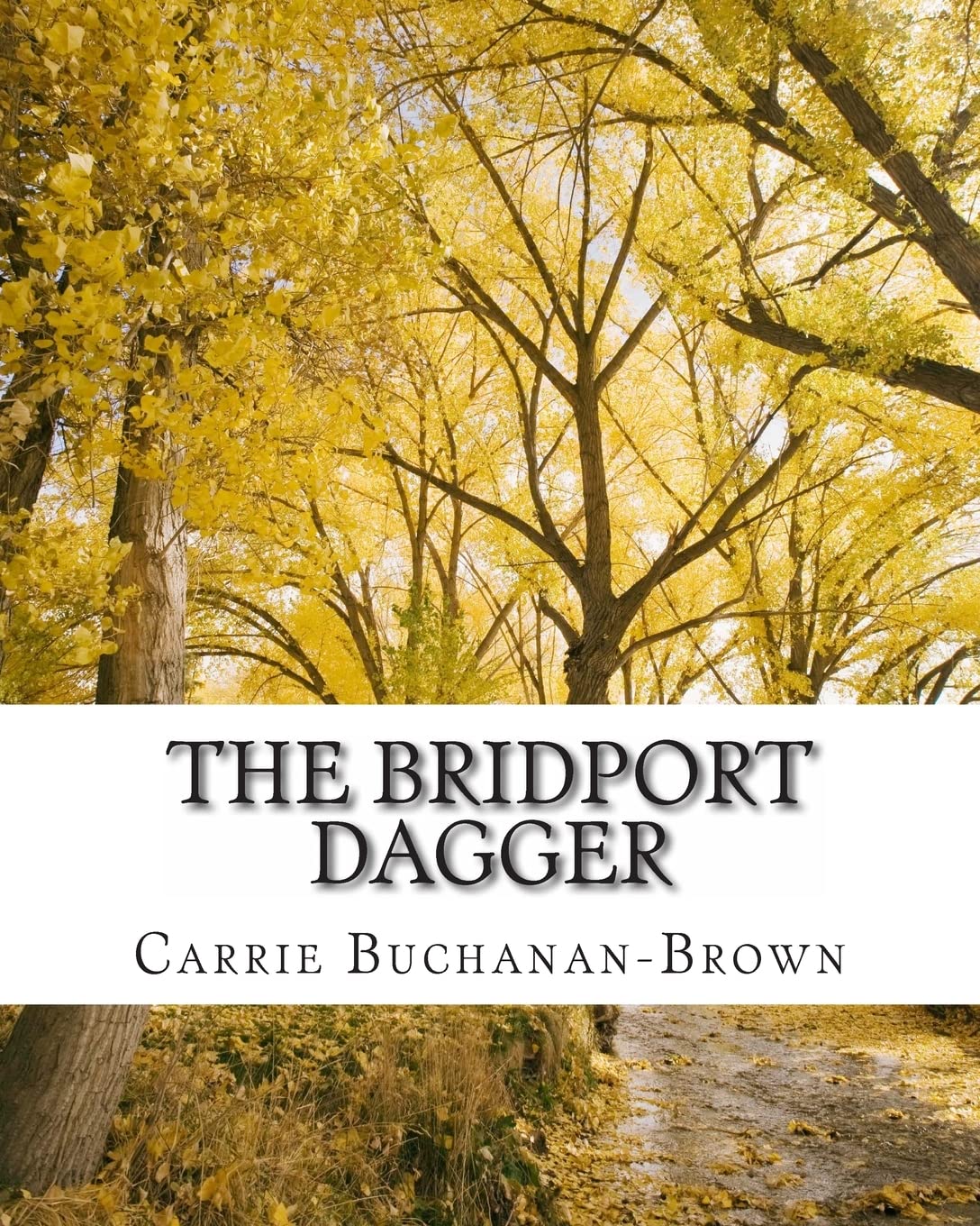 The Bridport Dagger (Death in Dorset, Band 1) Contemporary literature