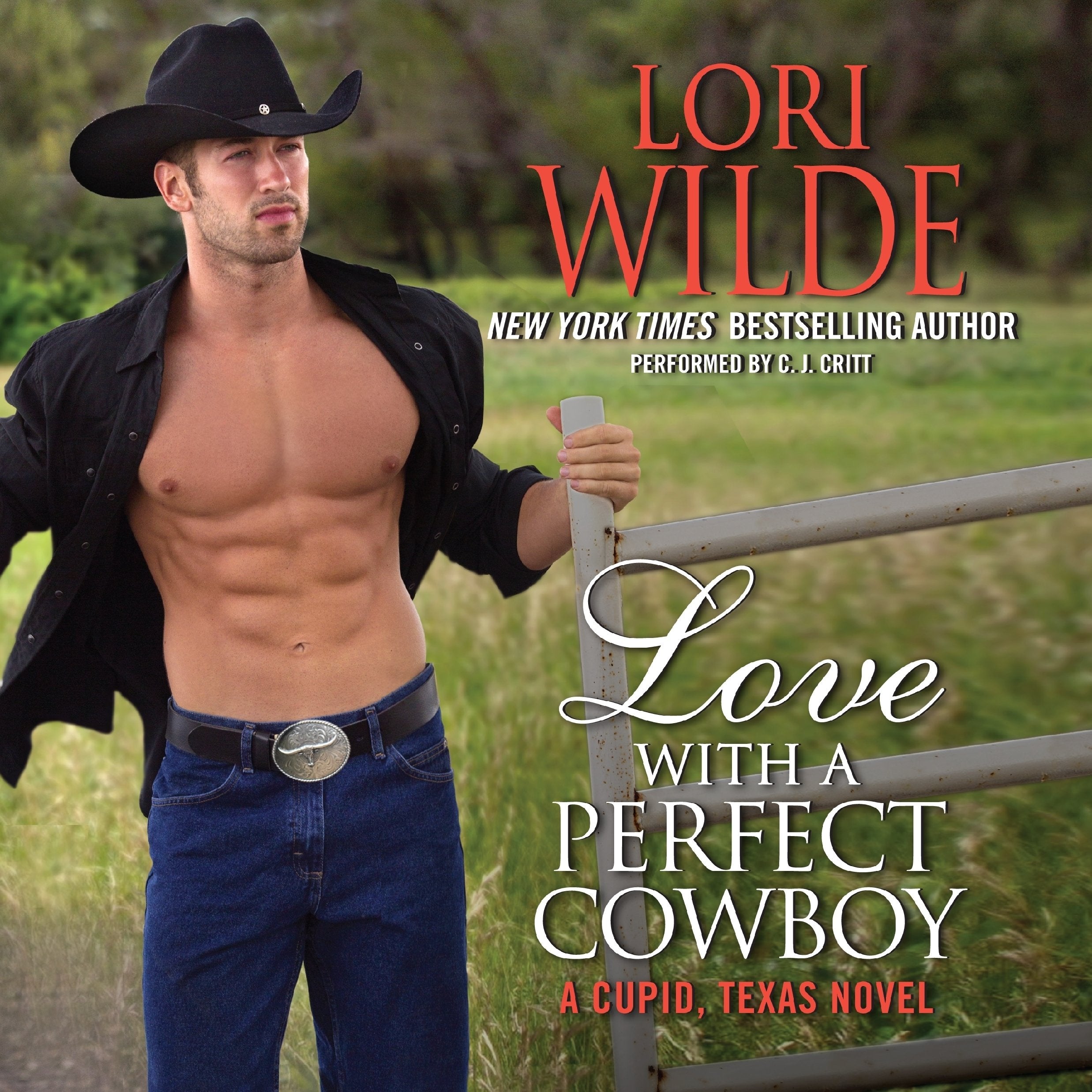 Love with a Perfect Cowboy (Cupid, Texas, Band 4) Contemporary literature