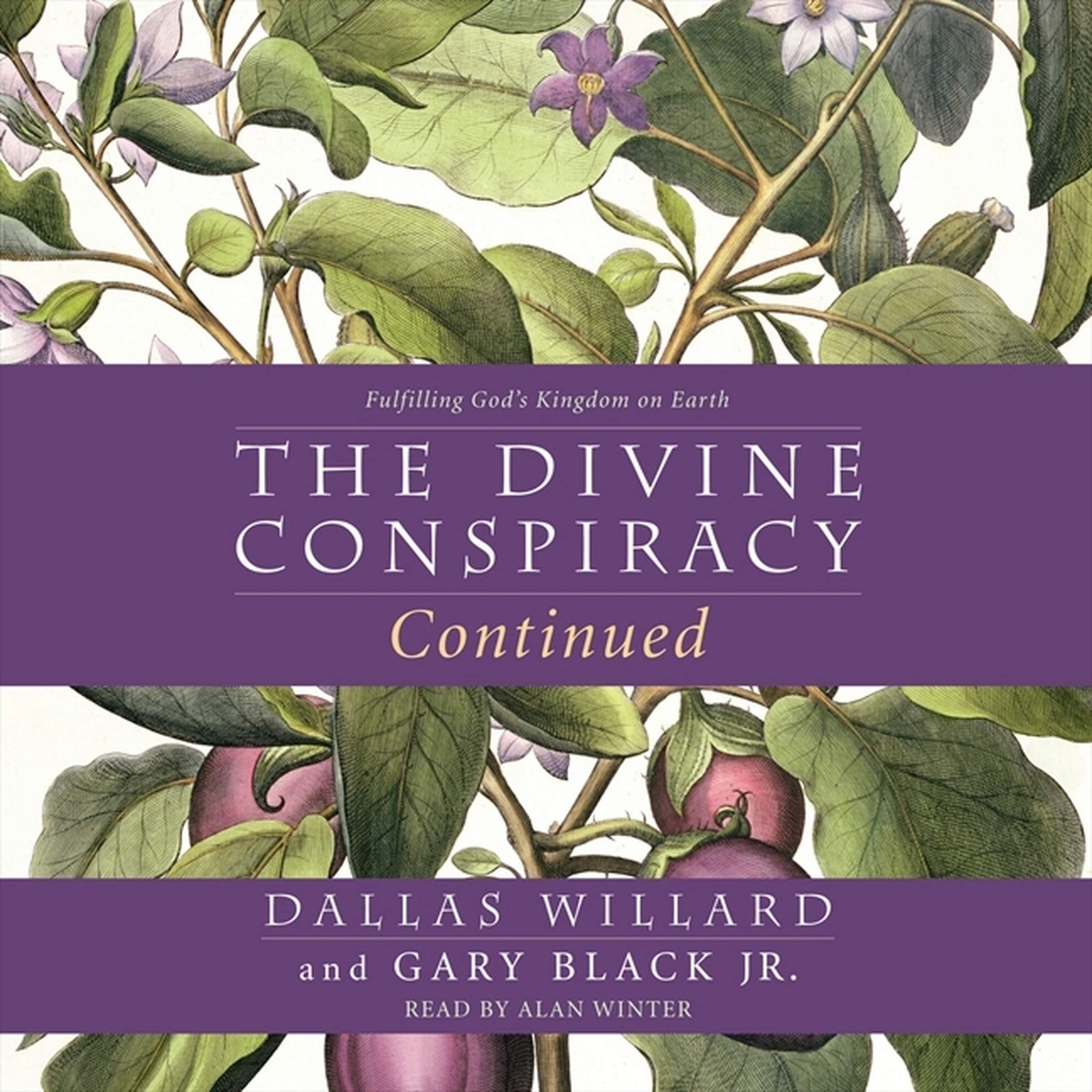 The Divine Conspiracy Continued: Fulfilling God's Kingdom on Earth Social Sciences