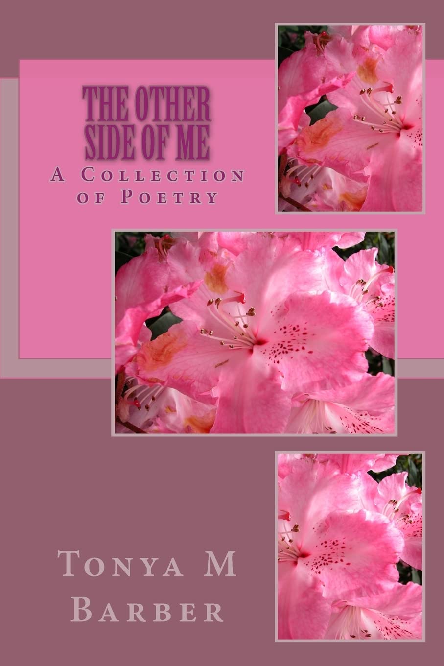 The Other Side Of Me: A Collection of Poetry Poetry