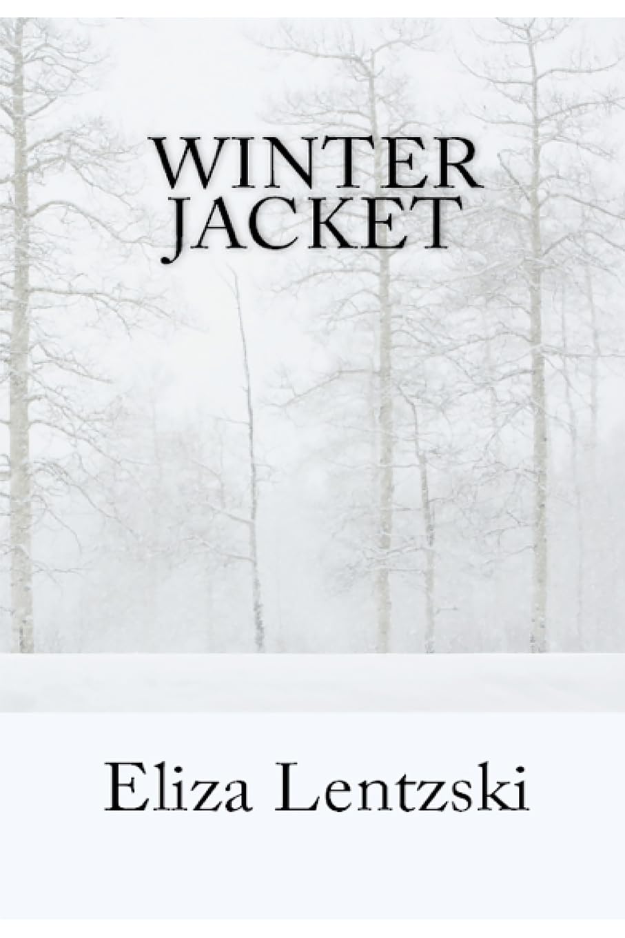 Winter Jacket (Winter Jacket Series, Band 1) LGBTQ+