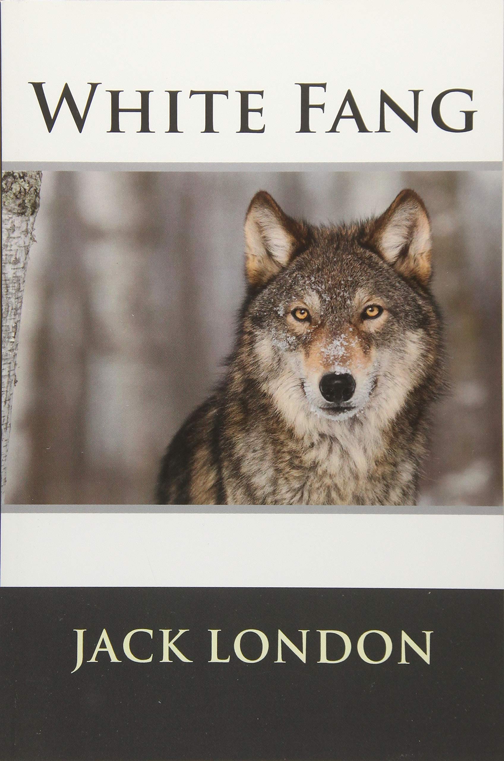 White Fang Classics