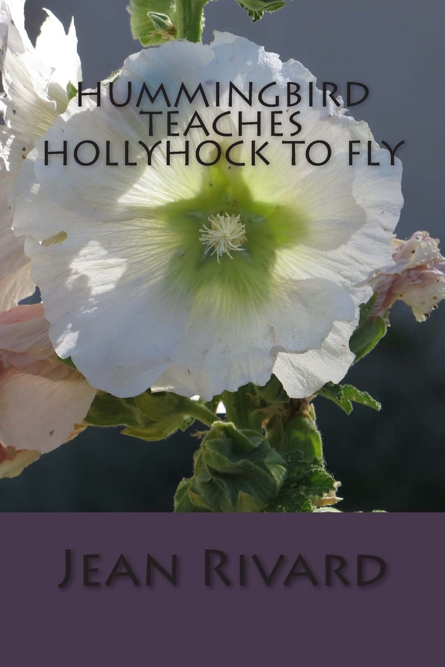 Hummingbird Teaches Hollyhock to Fly Religion & Esotericism
