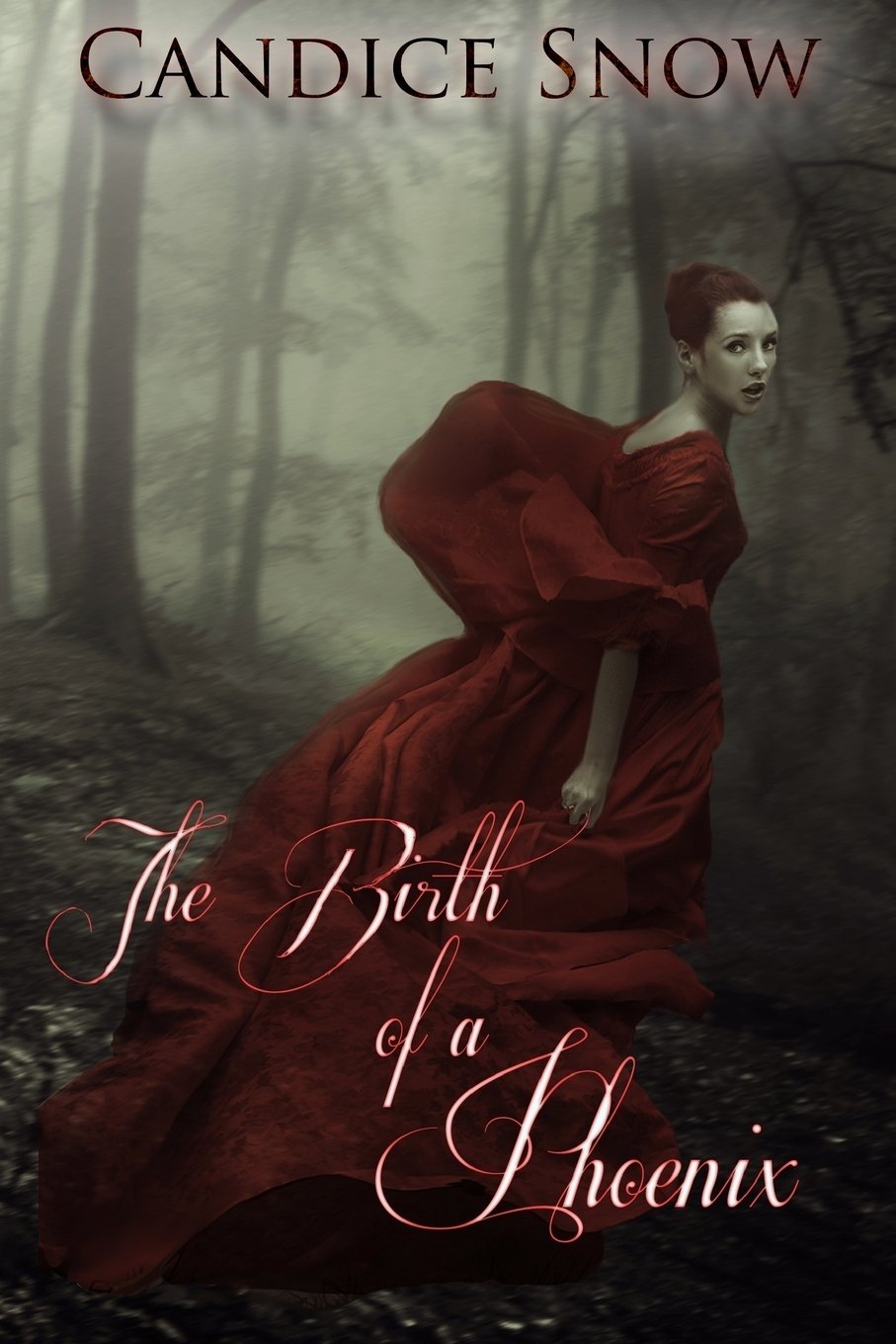 The Birth of a Phoenix (Phoenix Chronicles, Band 1) Fantasy & Sci-Fi