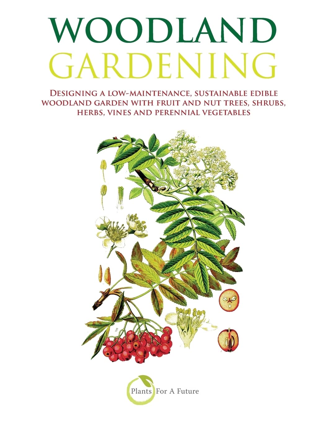 Woodland Gardening: Designing a low-maintenance, sustainable edible woodland garden Garden & Plants