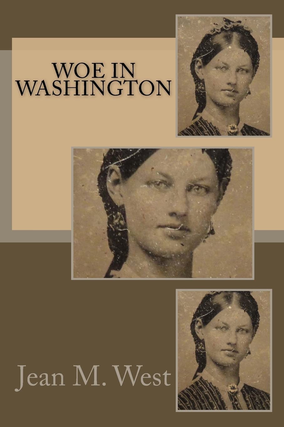 Woe in Washington (McEntee Brothers Civil War Mysteries, Band 7) Historical Fiction