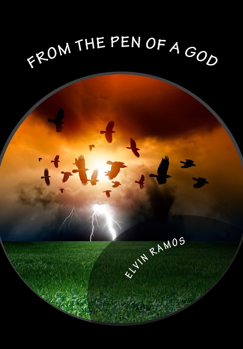 From the Pen of a God: a memoir of insanity Poetry