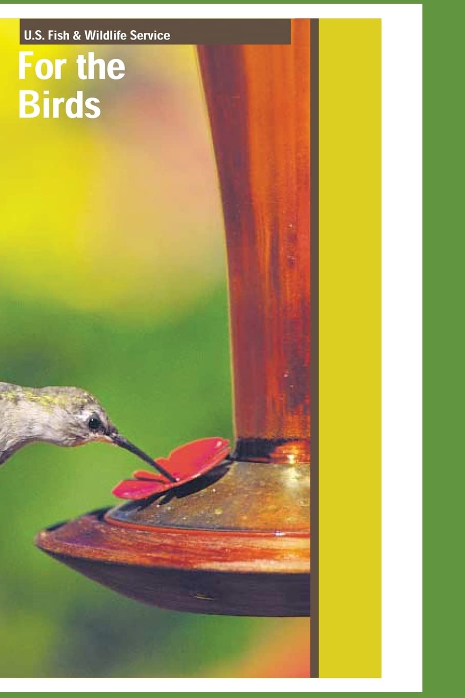 For the Birds Mathematics