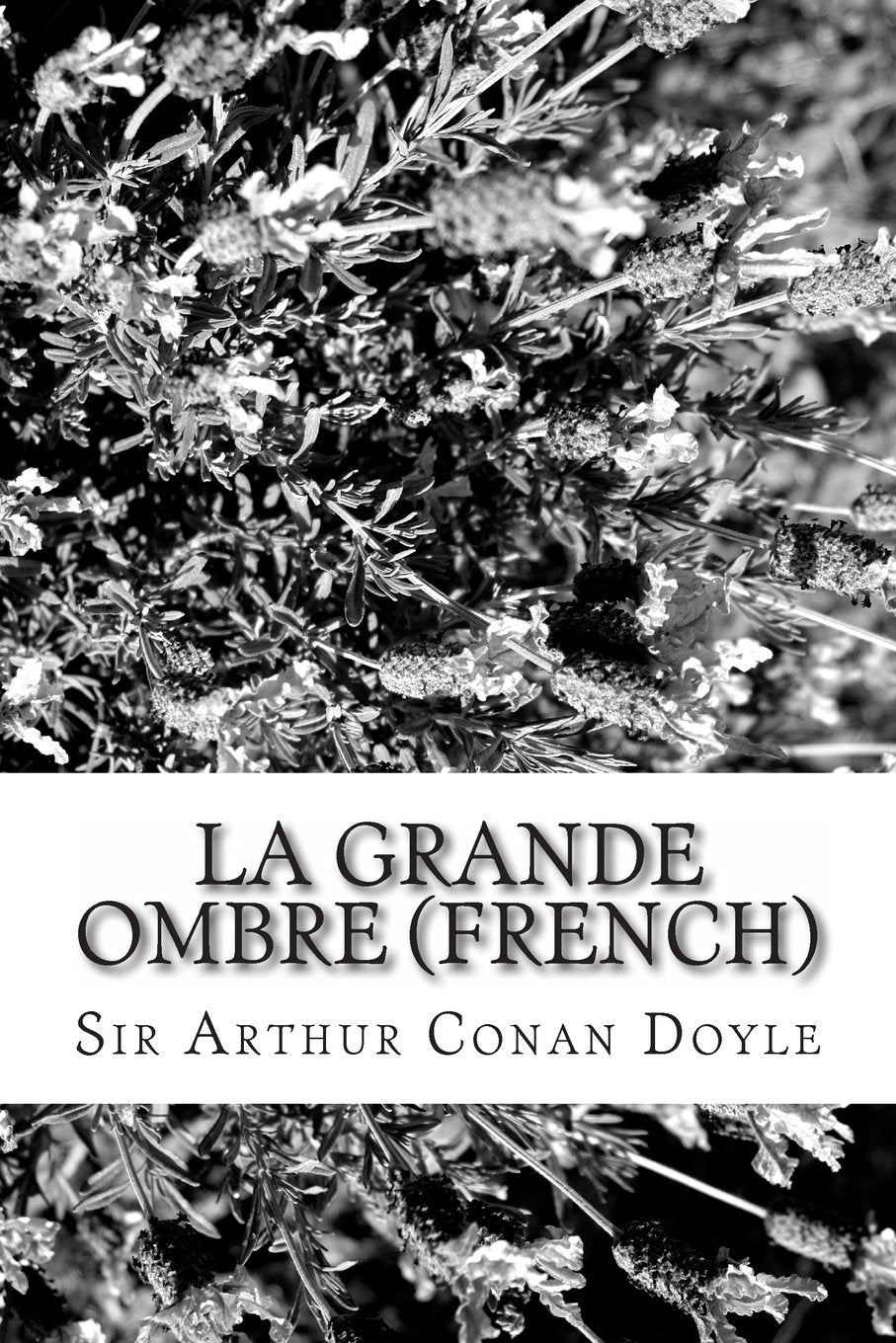 La grande ombre (French) book