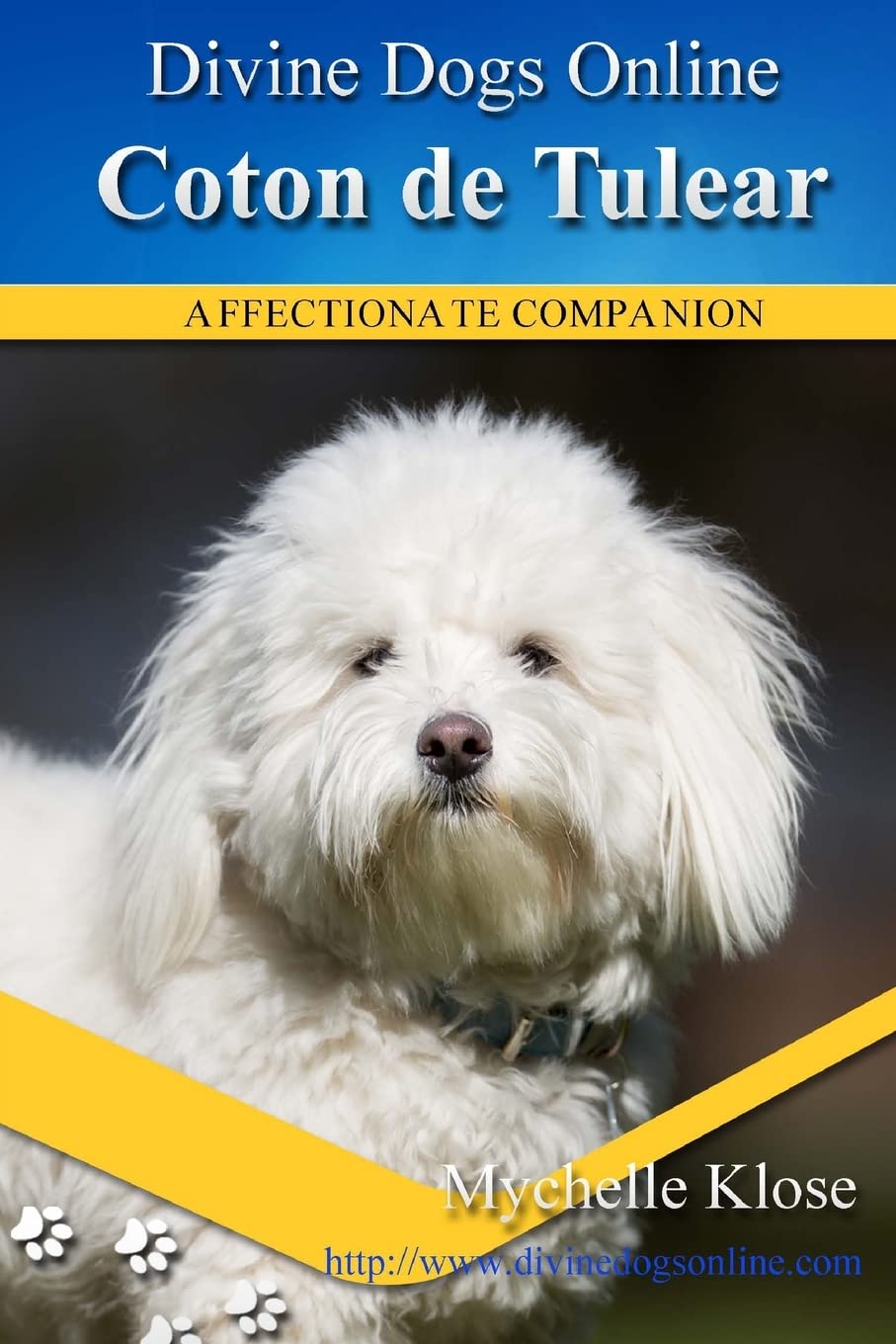Coton de Tulear: Divine Dogs Online Pets