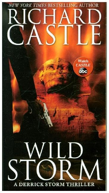 Wild Storm: A Derrick Storm Thriller (A Derrick Storm Thriller, 2) Action & Adventure