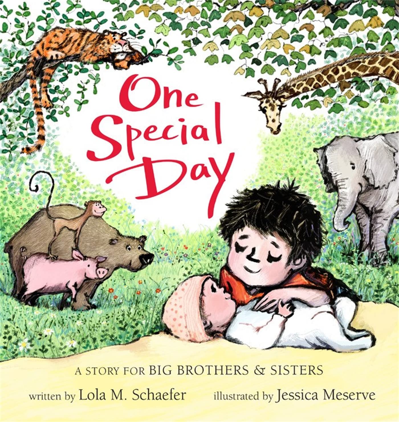 One Special Day: A Story for Big Brothers and Sisters Parents & Children