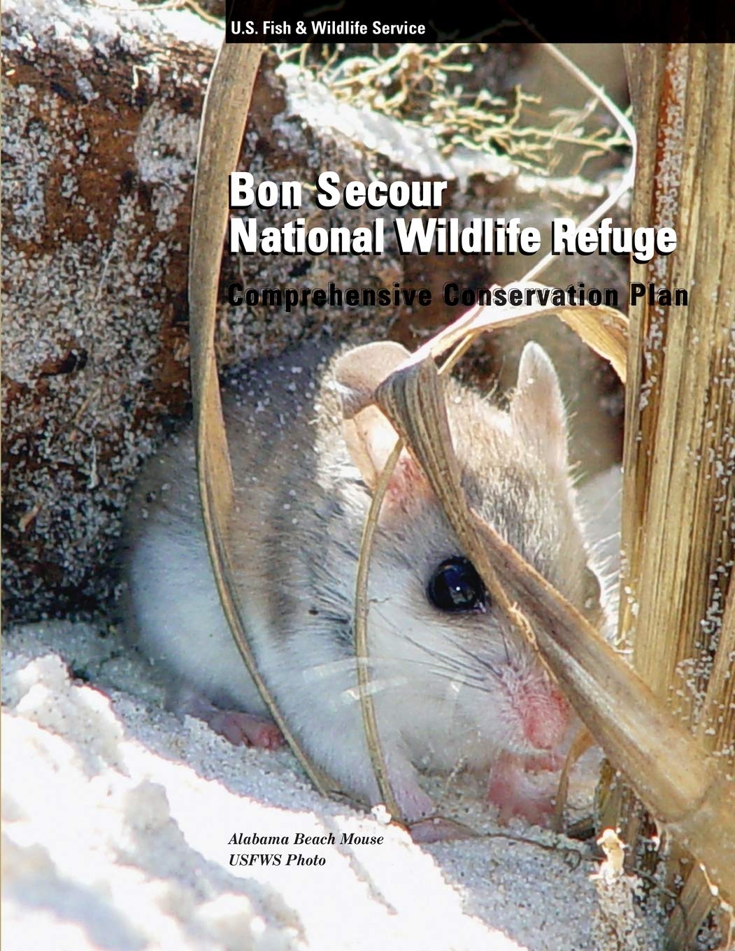 Bon Secour National Wildlife Refuge Comprehensive Conservation Plan Mathematics