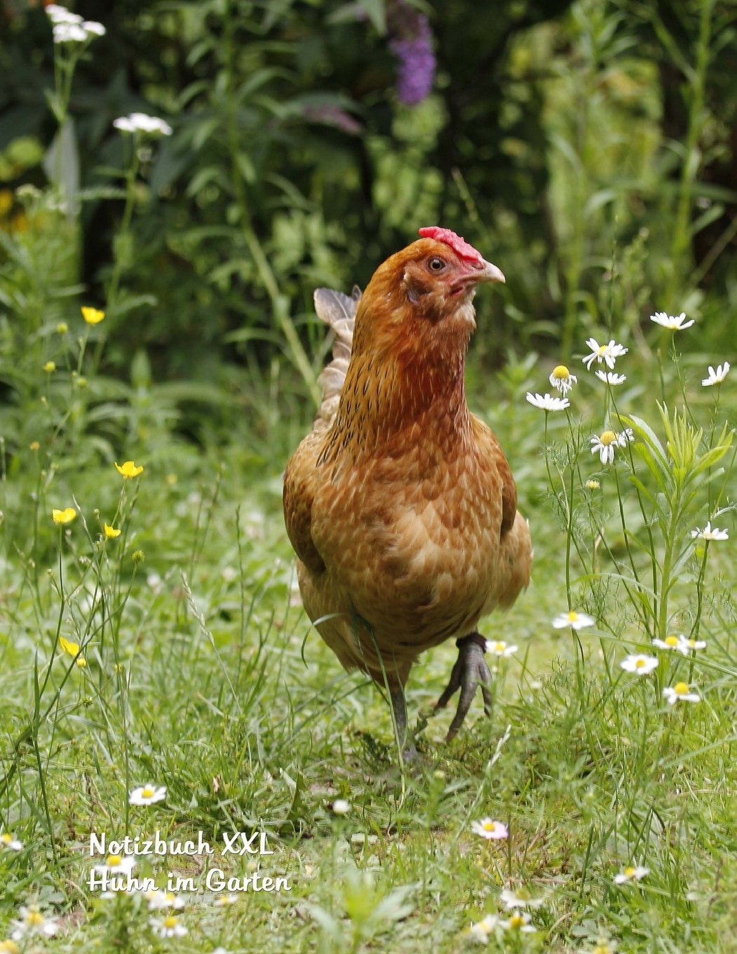 Notizbuch XXL Huhn im Garten: Format Letter (ca. A4), kariert auf weissem Papier, 100 Seiten Books