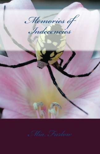Memories of Indecencies (The Irony of Love, Band 1) International