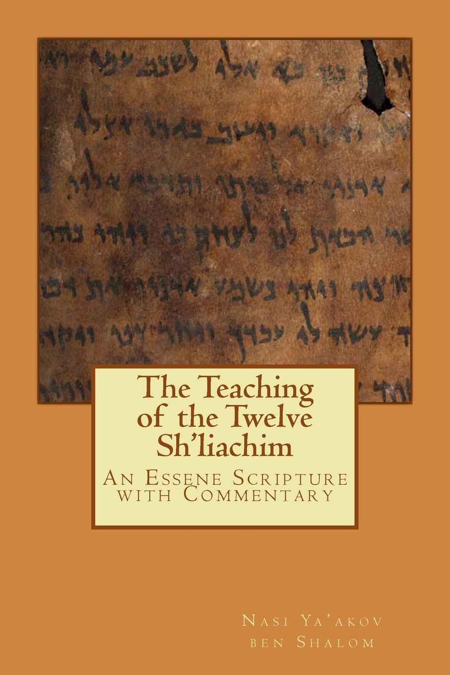 The Teaching of the Twelve Sh'liachim: An Essene Scripture with Commentary Religion & Esotericism