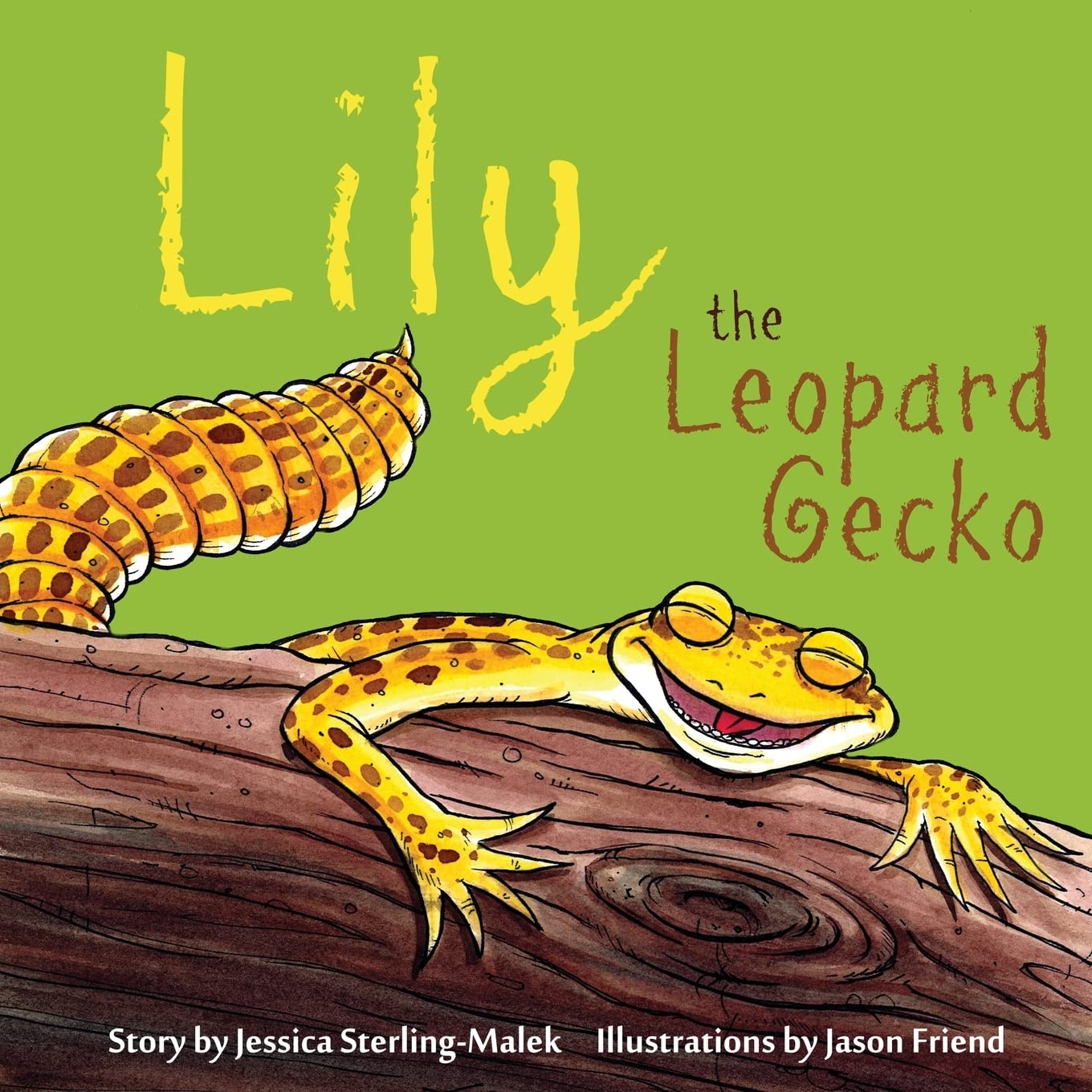 Lily The Leopard Gecko Pets