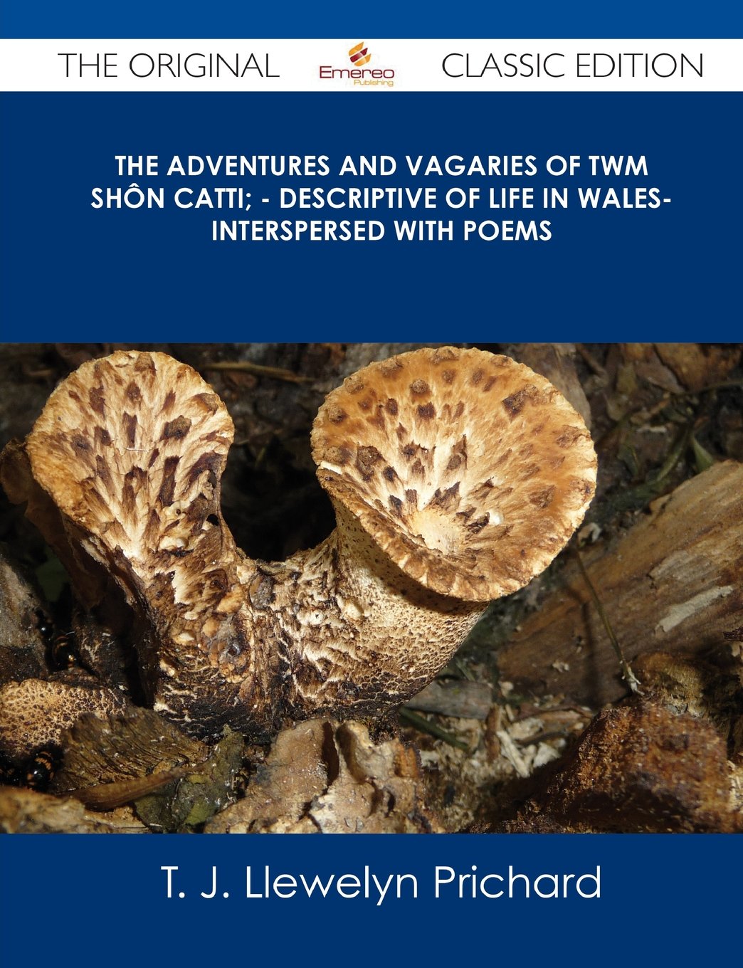 The Adventures and Vagaries of Twm Shan Catti;: Descriptive of Life in Wales Interspersed With Poems book