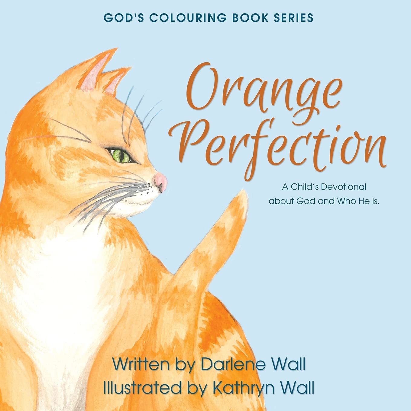 Orange Perfection: A Child's Devotional about God and Who He Is Non-fiction