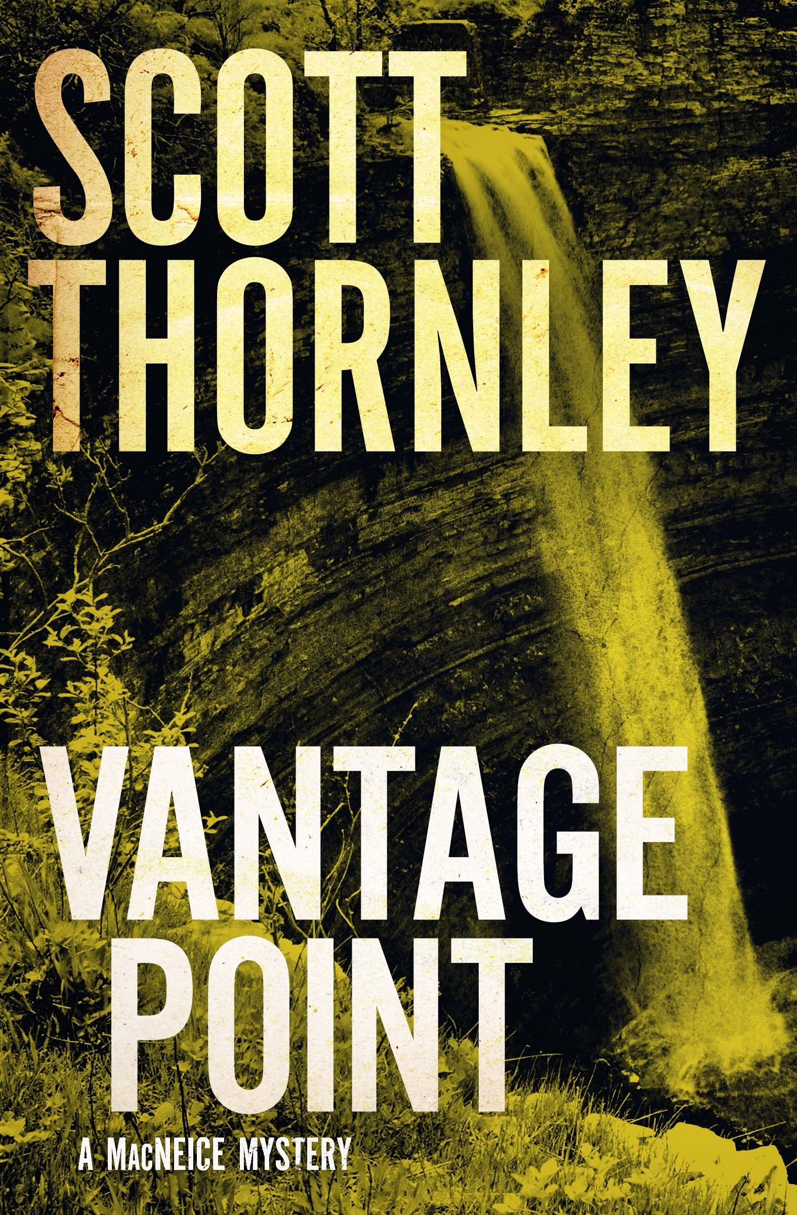 Vantage Point: A MacNeice Mystery (The MacNeice Mysteries, 4) Contemporary literature