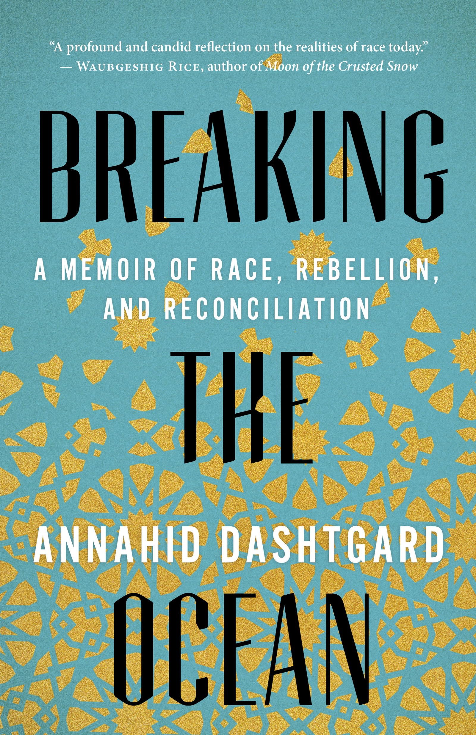 Breaking the Ocean: A Memoir of Race, Rebellion, and Reconciliation Social Sciences