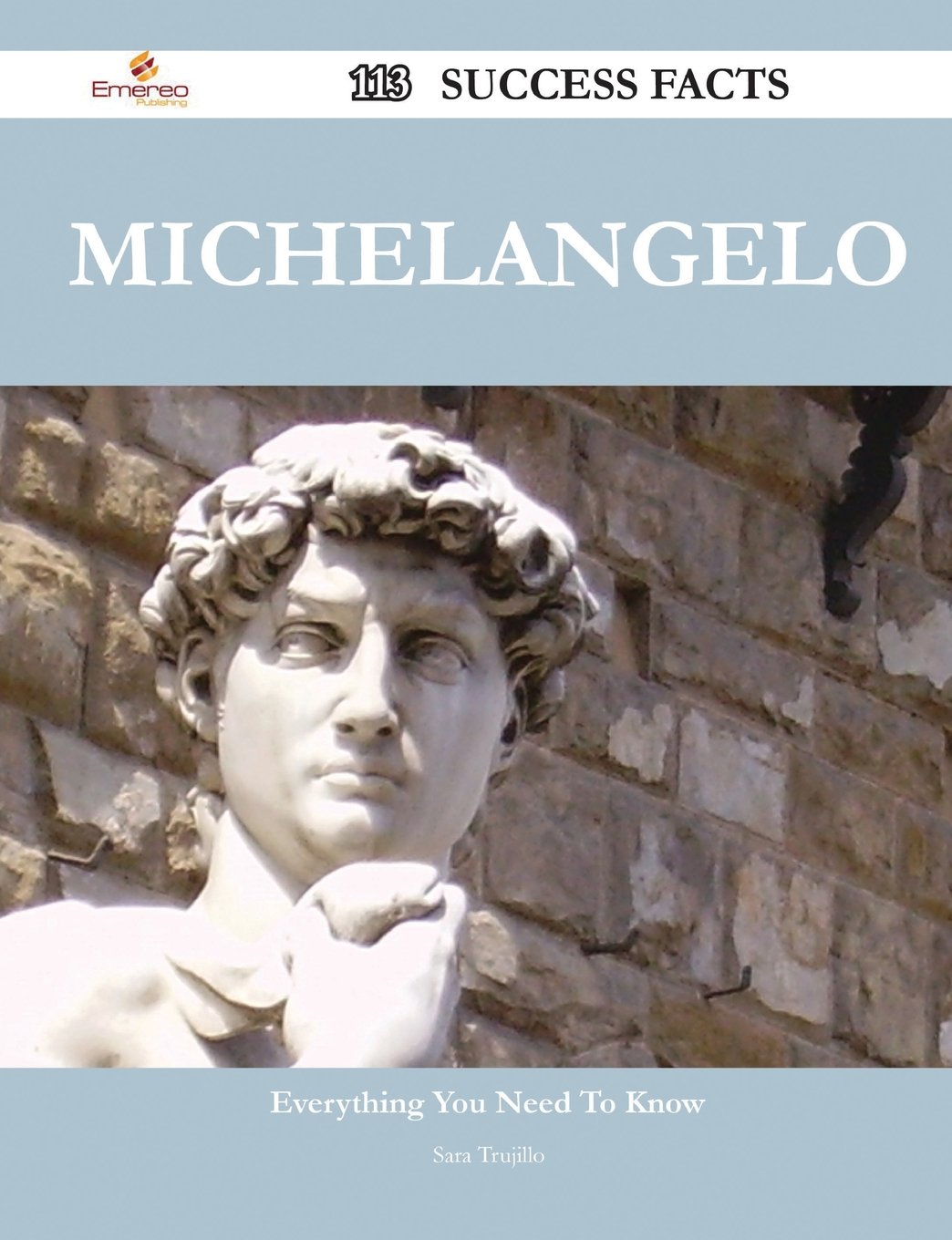 Michelangelo: 113 Success Facts - Everything You Need to Know About Michelangelo Memories