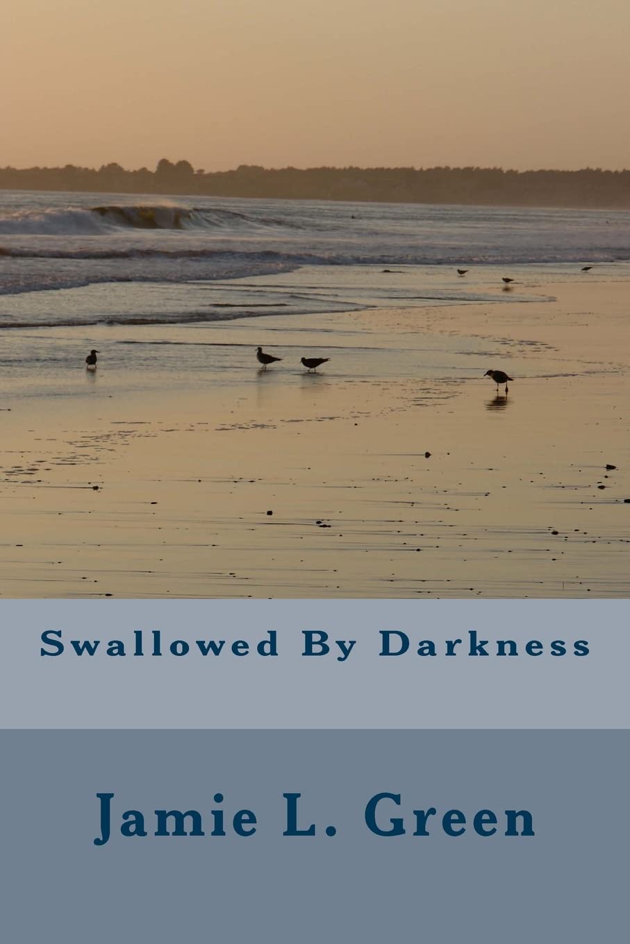 Product Image: Swallowed by Darkness