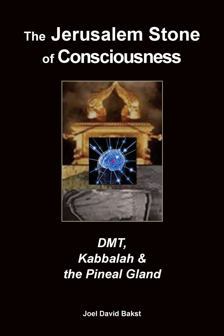 The Jerusalem Stone of Consciousness: DMT, Kabbalah and the Pineal Gland Religion & Esotericism