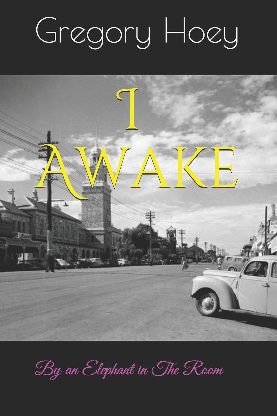 I Awake: By an Elephant in The Room Contemporary literature