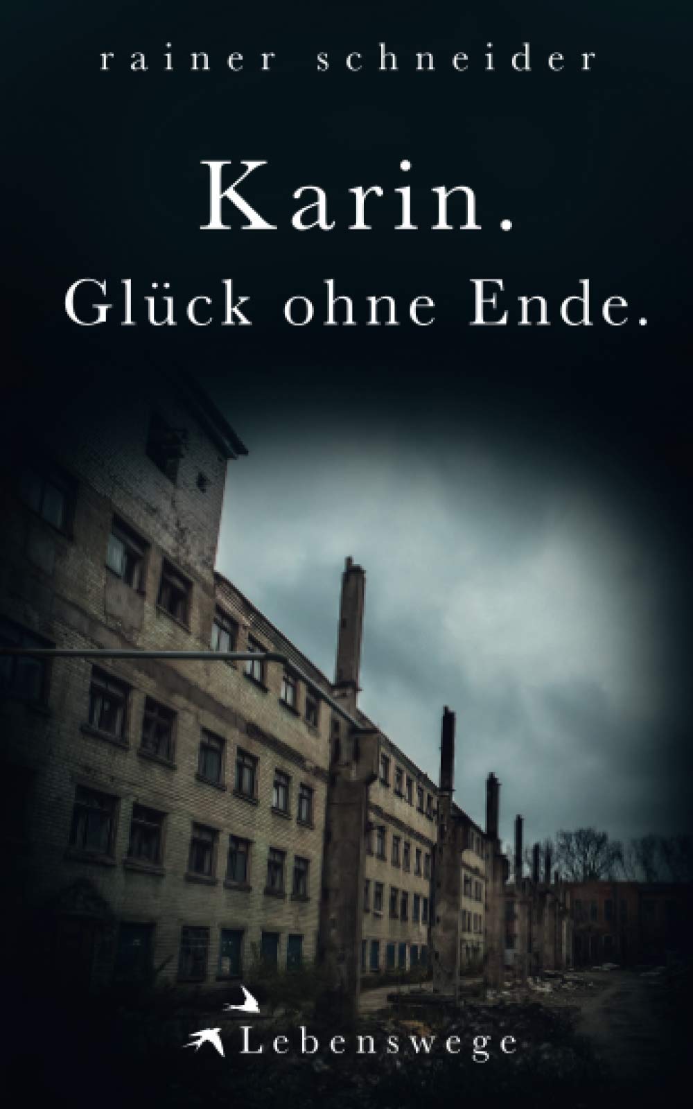Karin. Glück ohne Ende. (Lebenswege, Band 2) Historical Fiction
