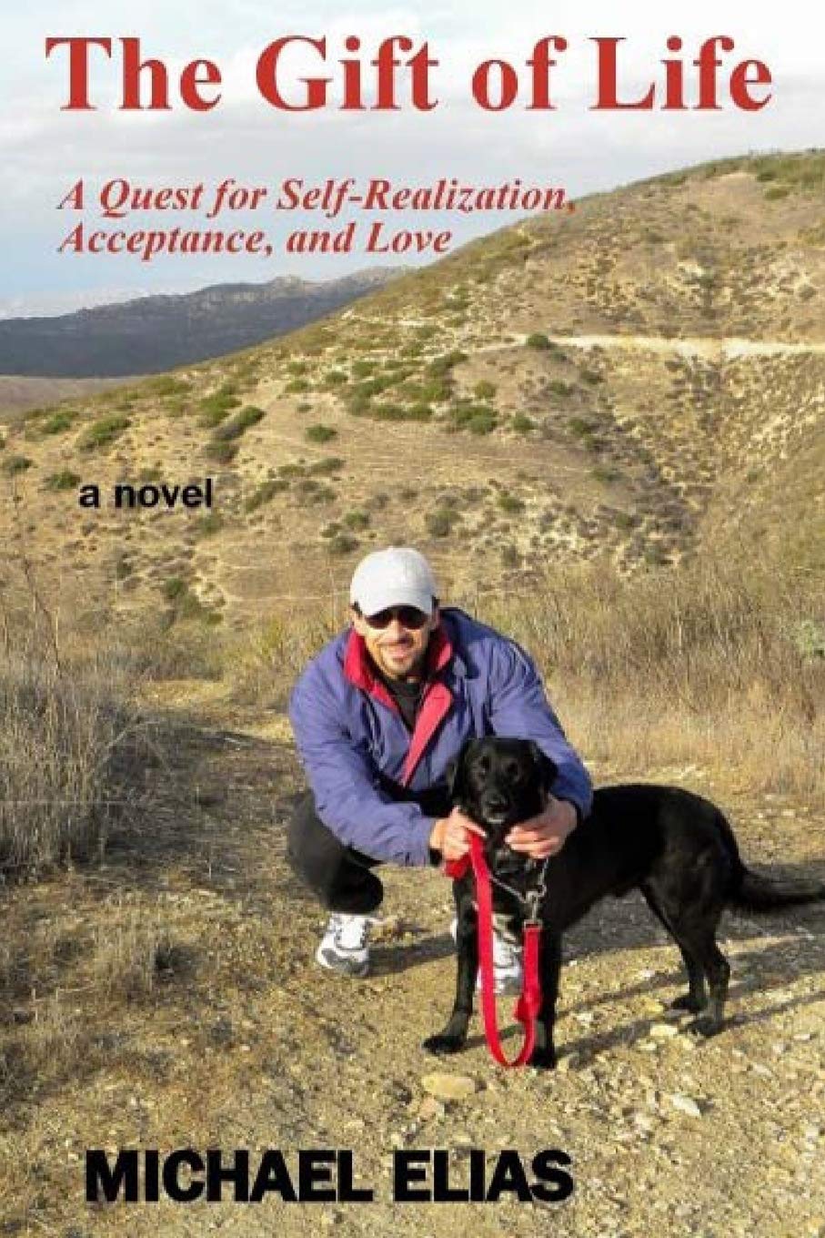 The Gift of Life: A Quest for Self-Realization, Acceptance, and Love (The Adventures of Mark, Band 1) Contemporary Romance