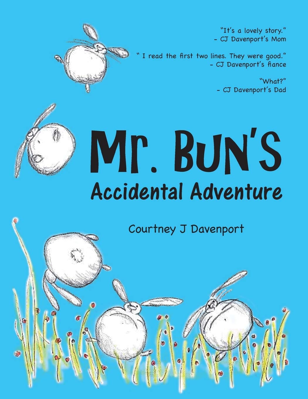 Mr. Bun's Accidental Adventure Novels & Short Stories