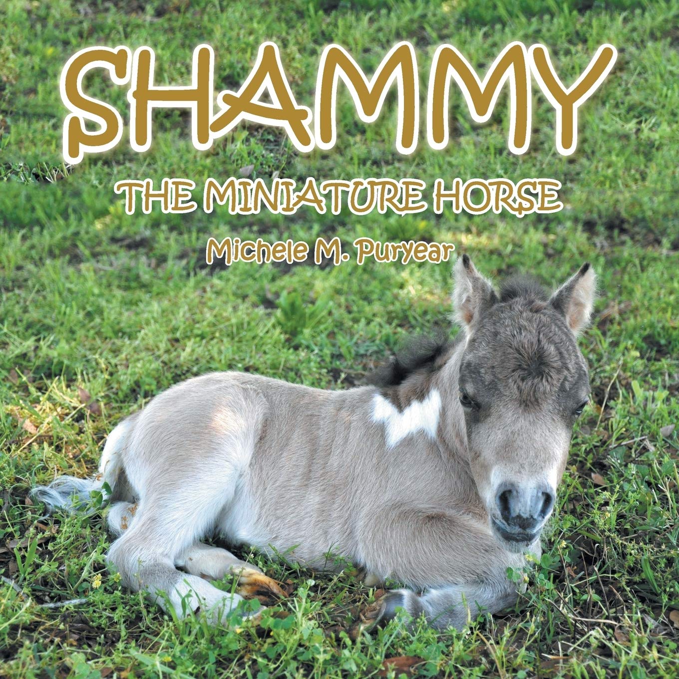 Shammy: The Miniture Horse Children's books