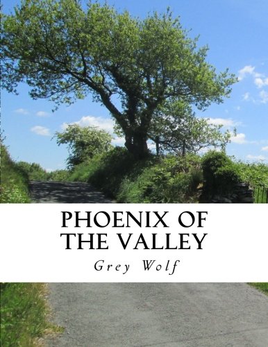Phoenix of the Valley: Poems and Photographs of the Upper Swansea Valley Poetry