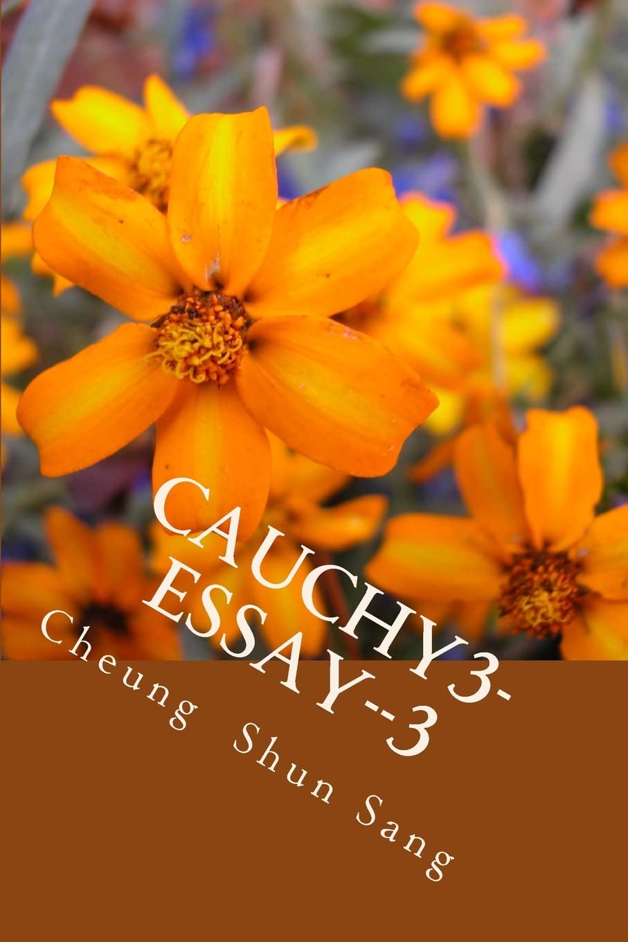 Cauchy3-essay--3: Think aloud Essays & Short Stories