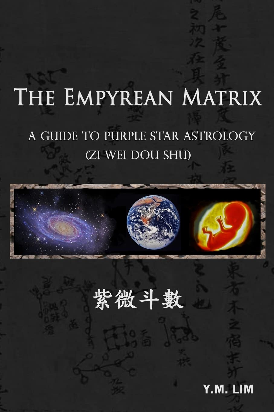The Empyrean Matrix: A Guide to Purple Star Astrology (Zi Wei Dou Shu) book