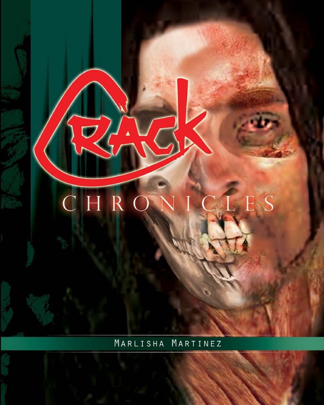 Crack Chronicles (Memories of an Addict's Child, Band 1) Partnership & Love
