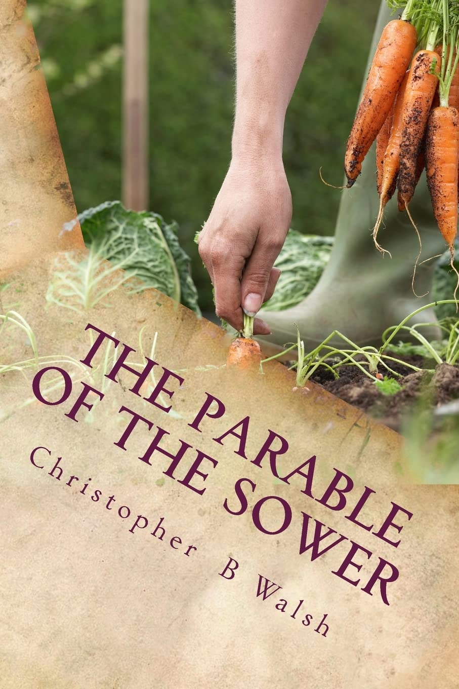 The Parable of the Sower: A Kingdom Parable Religion & Esotericism