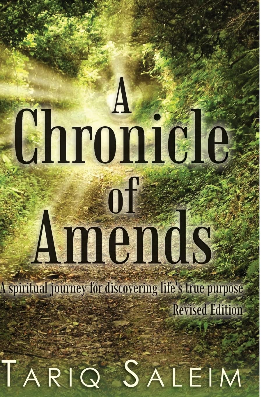 A Chronicle of Amends: A spiritual journey for discovering life's true purpose book