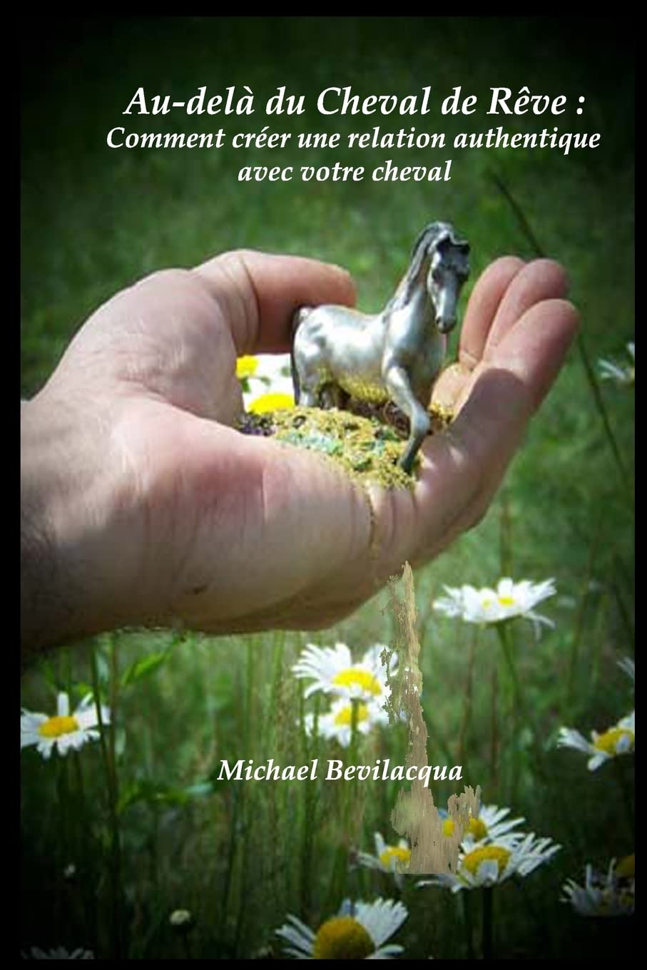 Au-delà du Cheval de Rêve: Comment créer une relation authentique avec votre cheval book