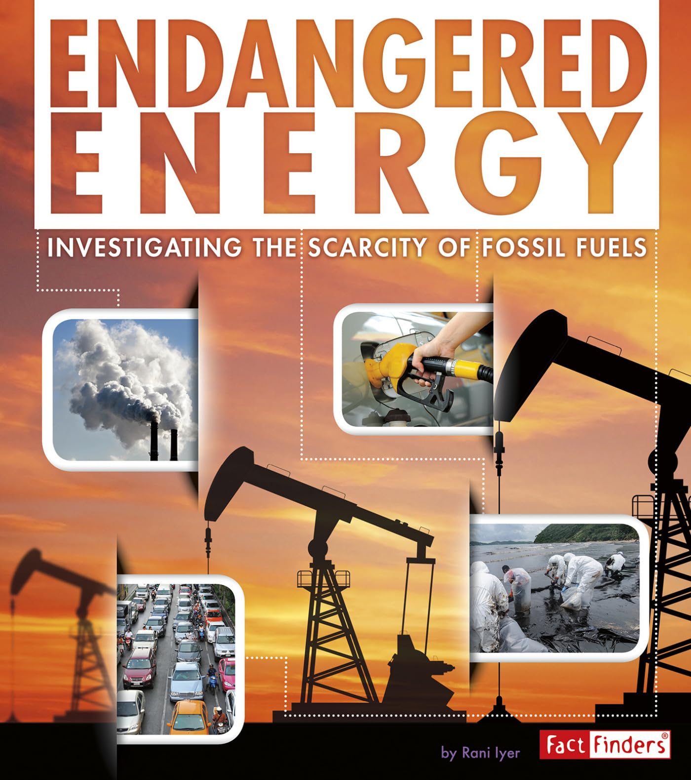 Endangered Energy: Investigating the Scarcity of Fossil Fuels (Endangered Earth) Non-fiction
