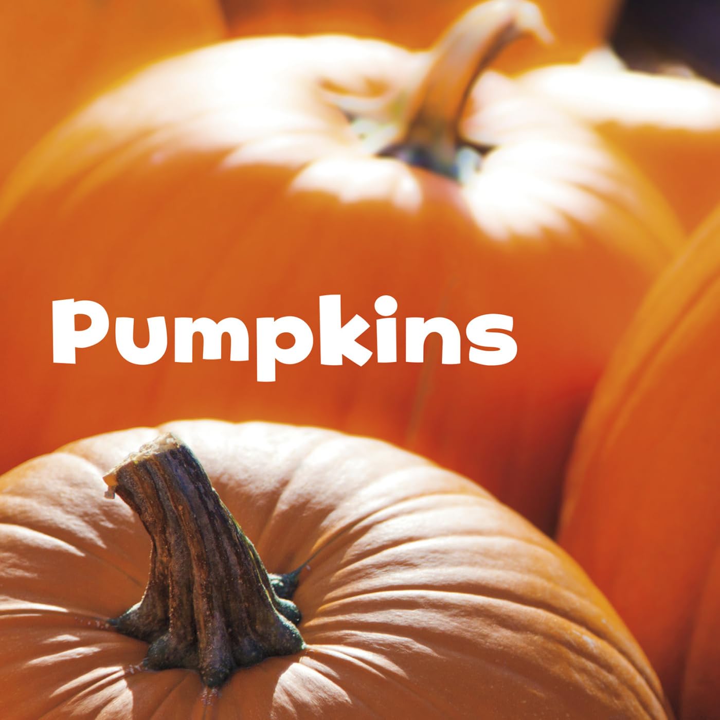 Pumpkins (Celebrate Fall: Little Pebble) Non-fiction